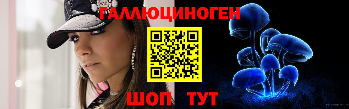 Псилоцибиновые грибы MAGIC MUSHROOMS  где продают наркотики  Вход с VPN  Обнинск  Галлюциногенные грибы GOLDEN TEACHER 